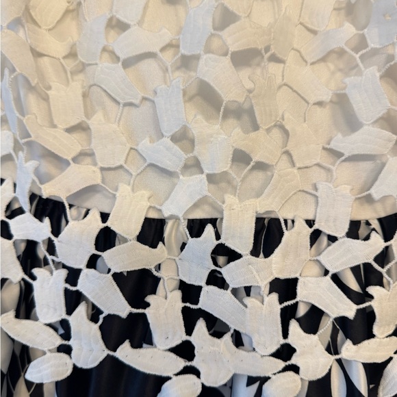 Elegant Black and White Mini Dress - Picture 2 of 3